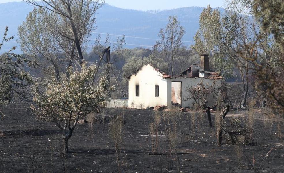 El CSIC critica al consejero que culpó al «ecologismo extremo»