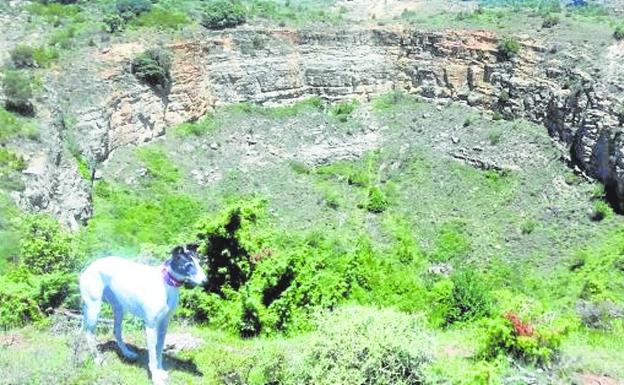 Una maravilla desconocida