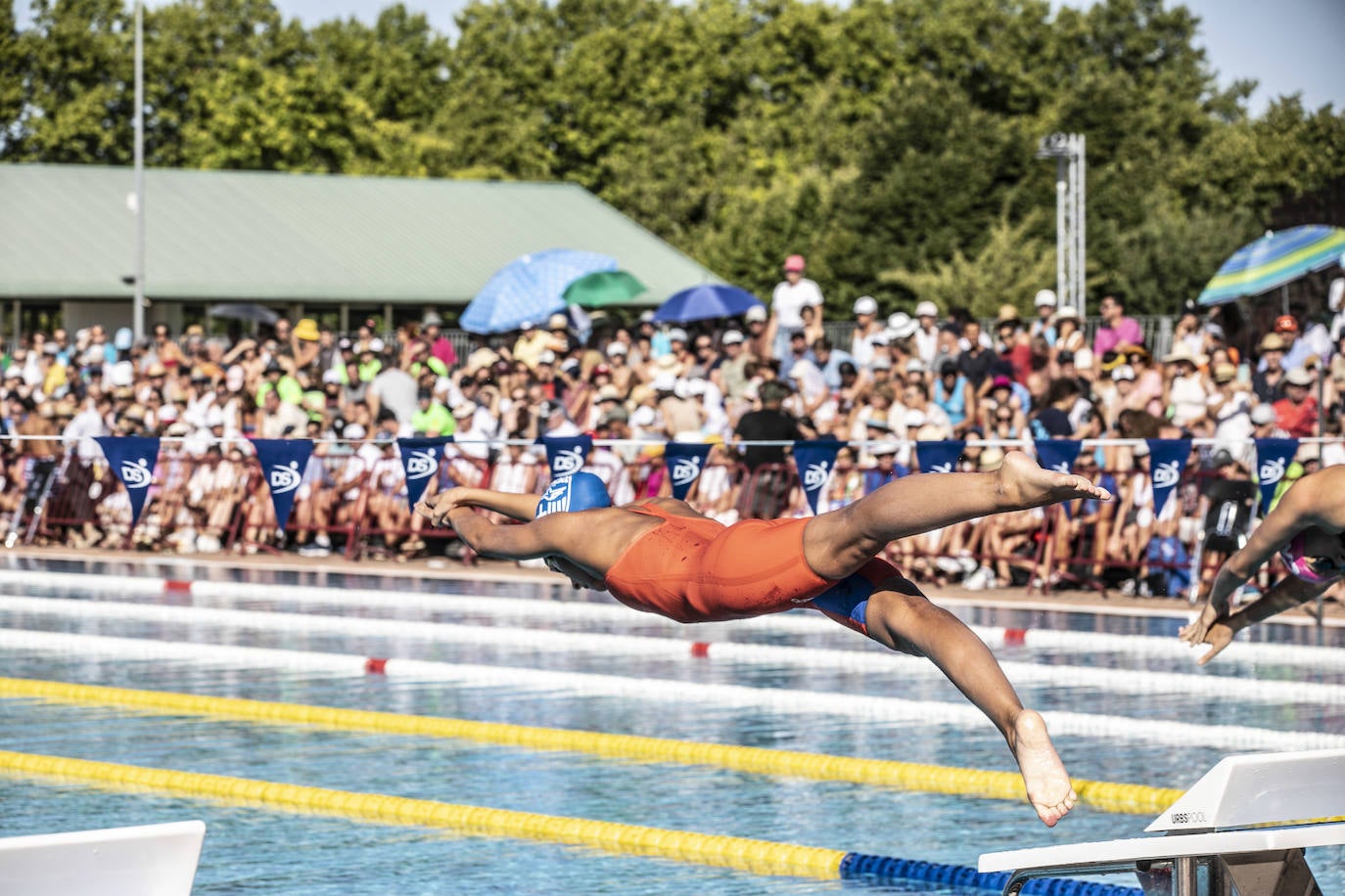 Campeonato de España Infantil de natación