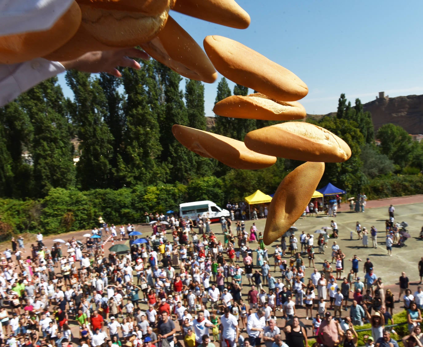 Fiesta del Pan y Queso en Quel