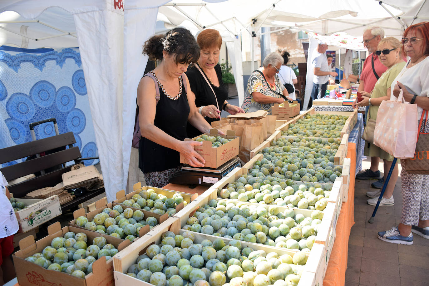 Nalda acoge la Fiesta de la Ciruela Reina Claudia