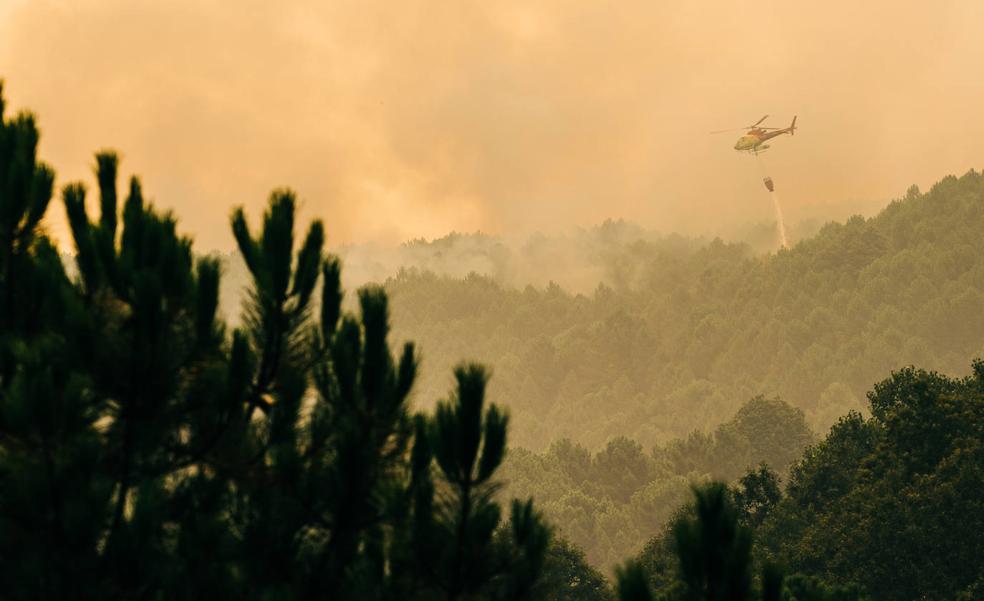 El fuego no da tregua en Ávila y remite en Galicia