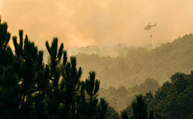 El fuego no da tregua en Ávila y remite en Galicia