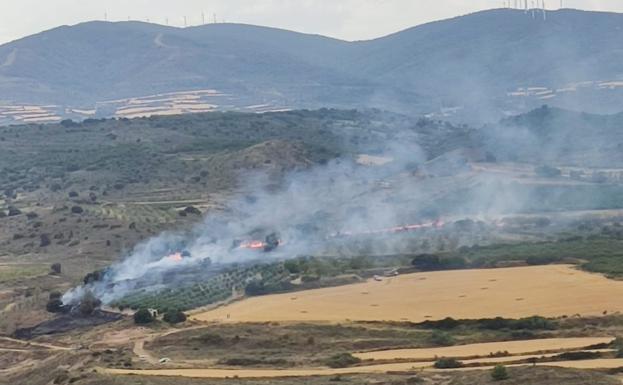 Controlado el incendio causado por un rayo en Ausejo