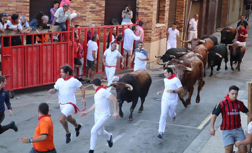 Alfaro, en territorio fiestas