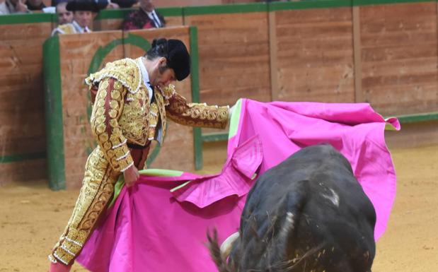 Morante de la Puebla toreará el 31 de agosto en Calahorra