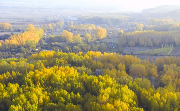 Contratada la elaboración del proyecto para renovar el 'Bosque pedagógico'