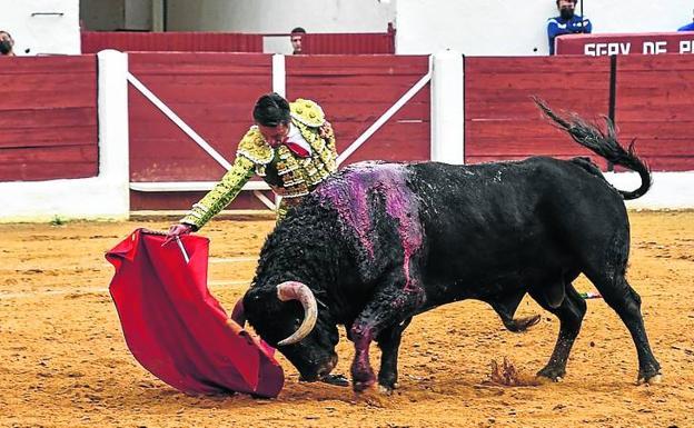 Diego Urdiales debuta esta tarde en Medina del Campo con Ferrera y Aguado