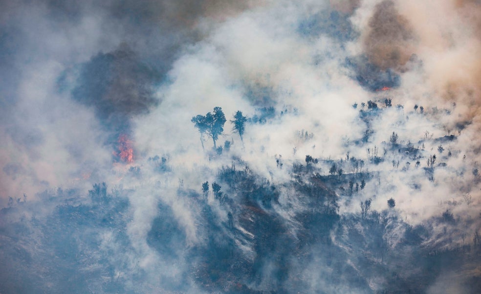 Los incendios de este verano en Europa agigantan la huella de carbono