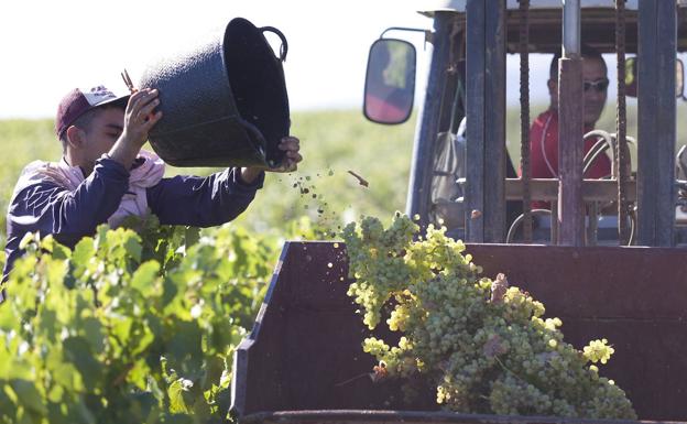 Agricultura anima al viticultor a denunciar incumplimientos de la Ley de la Cadena