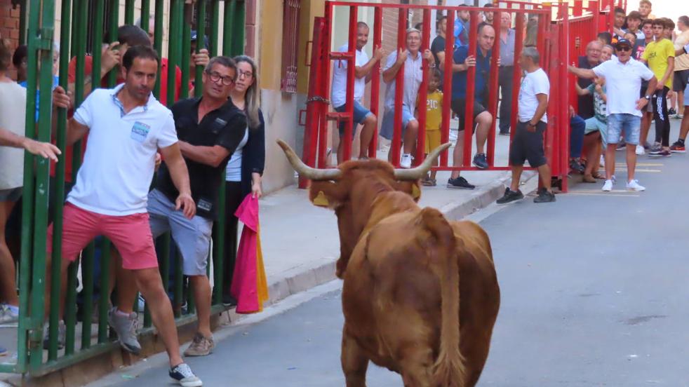 Música y encierros en las fiestas del Burgo de Alfaro