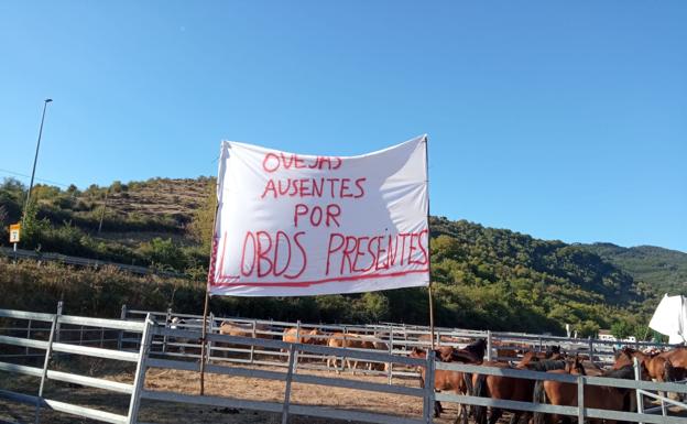 Villoslada acoge la tradicional feria ganadera con 1.000 cabezas y pancartas reivindicativas