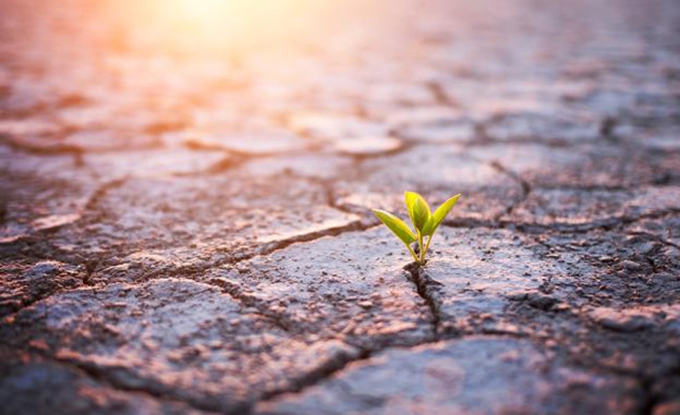 «Combatir el cambio climático es una gran oportunidad de negocio»