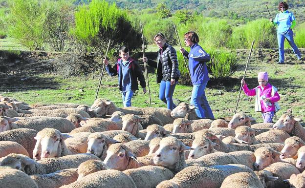 La Venta de Piqueras recupera el pastoreo