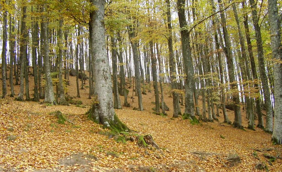 El otoño será más seco y caluroso de lo normal