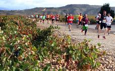 La Carrera entre Viñedos cuenta ya con 200 atletas y espera llegar al millar