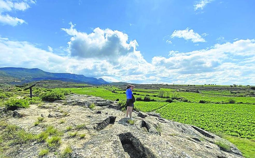 Disfrutar de la vendimia riojalteña a pedaladas