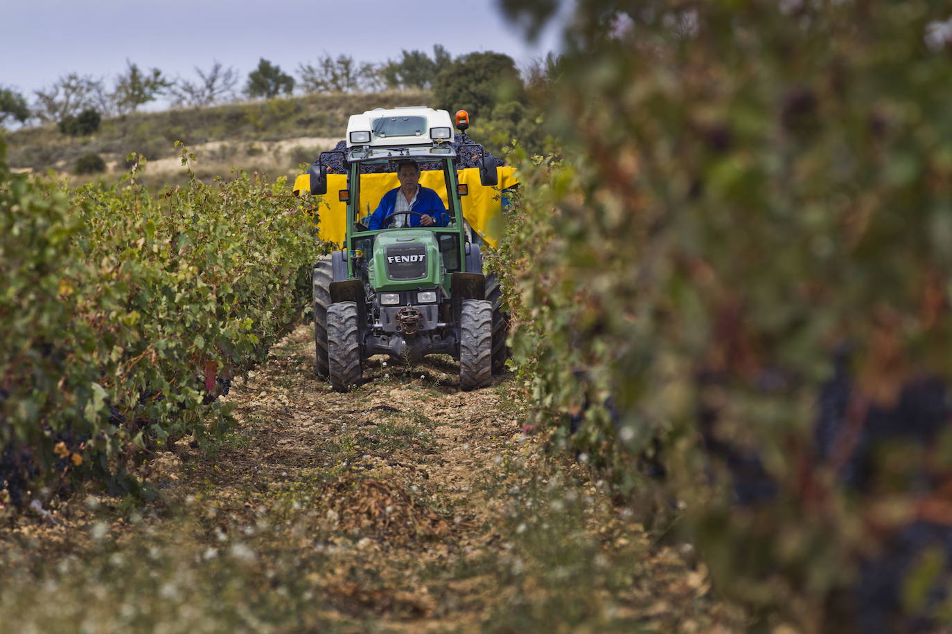 Bodegas Familiares de Rioja incorpora tres nuevos asociados