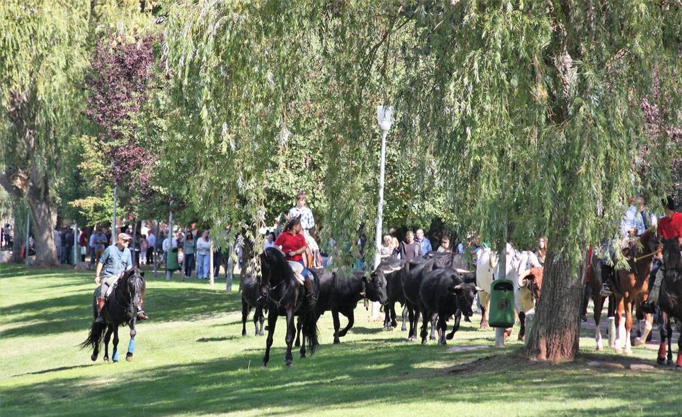 Nájera volvió a evocar la trashumancia por las ferias de San Miguel