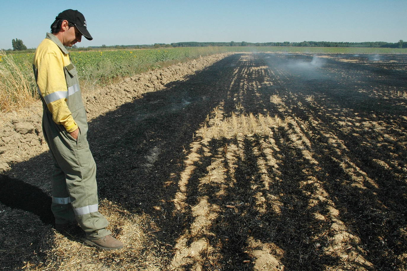 El Congreso desactiva la prohibición de quema de los restos vegetales de poda