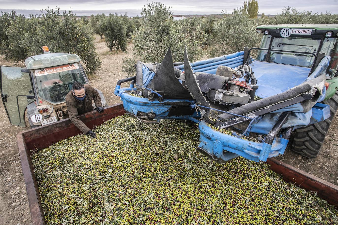 Qué hacer para que el trabajo del campo sea un poco menos duro
