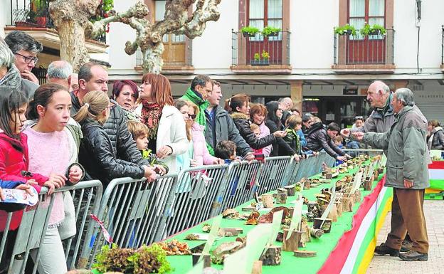 Las setas y los aficionados aguardan a la lluvia