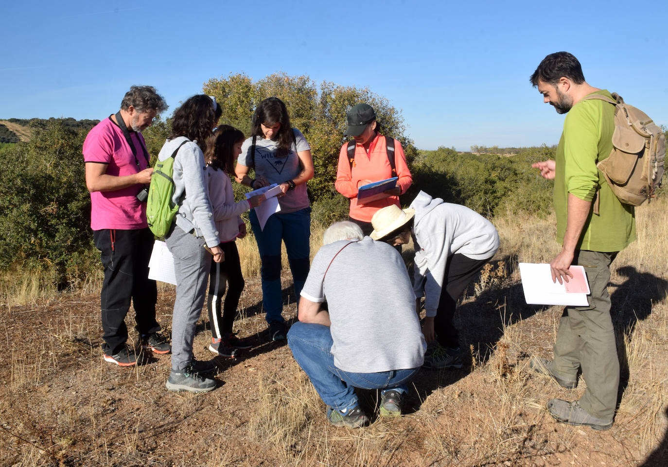 La fauna de Logroño
