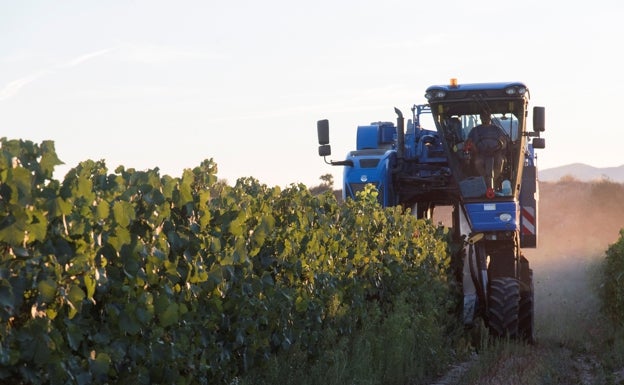 La escasez de tierras de cultivo y la demanda de alimentos despiertan el apetito inversor