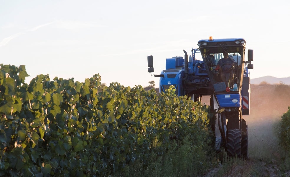 La escasez de tierras de cultivo y la demanda de alimentos despiertan el apetito inversor