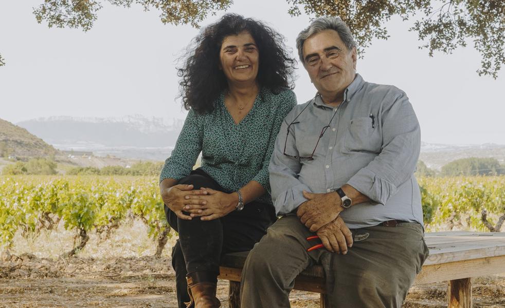 Villota: los vinos del meandro de Laserna