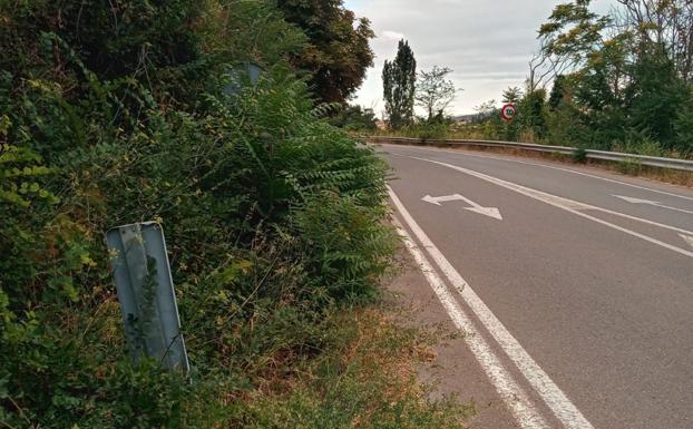 Arcenes sin limpiar en la carretera de Berceo a San Millán