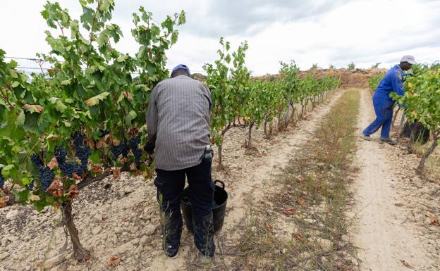 El tercer trimestre marca en La Rioja la cifra más baja de desempleo en 14 años