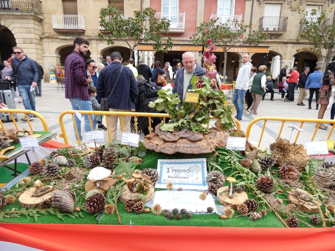 Haro disfruta de las 'Jornadas micológicas jarreras' en la plaza