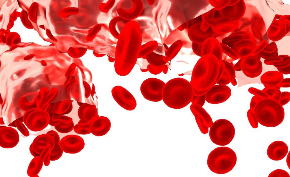 Anemia, cuando 'perdemos' glóbulos rojos