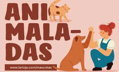 Este sábado, nueva entrega de 'Animaladas', el espacio informativo dedicado al cuidado de tu mascota