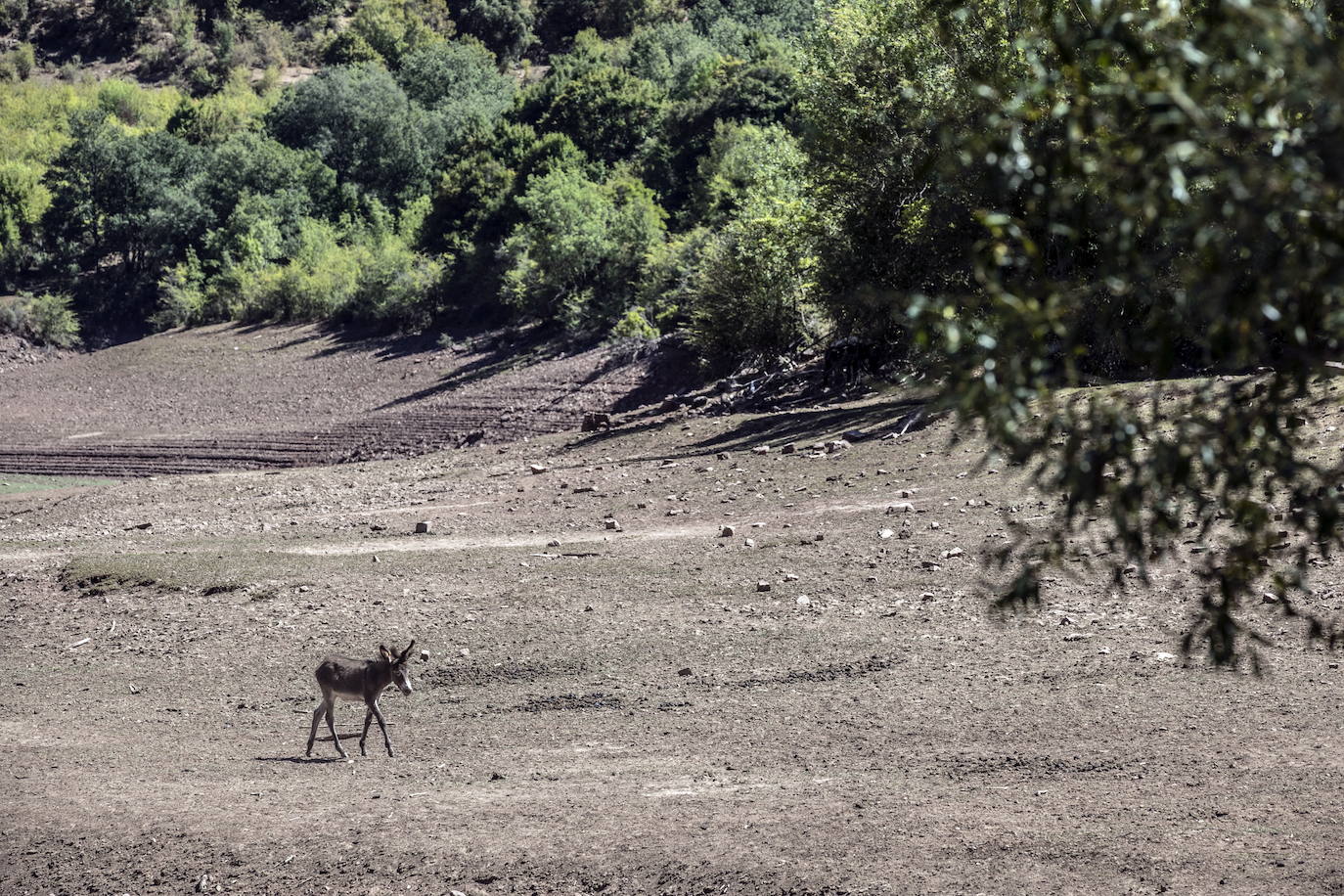 UPA advierte del riesgo de restricciones tras una «mala gestión del agua»