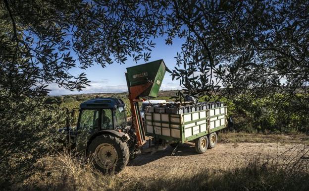 La Rioja gestionará este año 9,2 millones en ayudas para impulsar el desarrollo rural