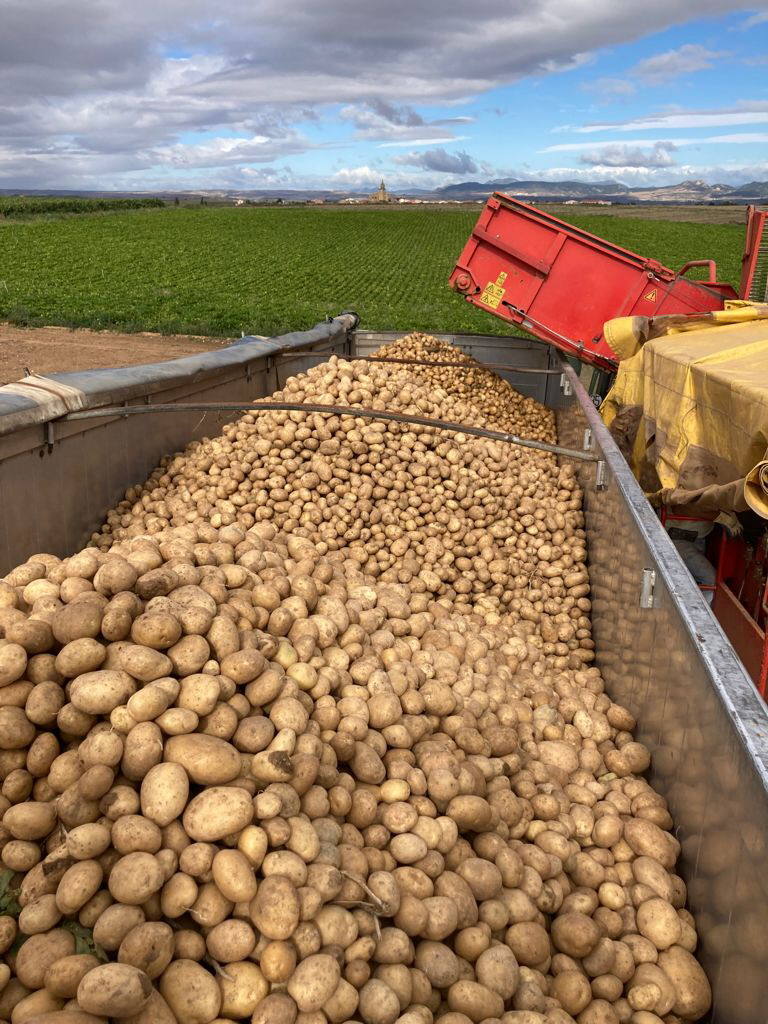 La Rioja abona 2 millones de euros a explotaciones agrarias por la guerra de Ucrania