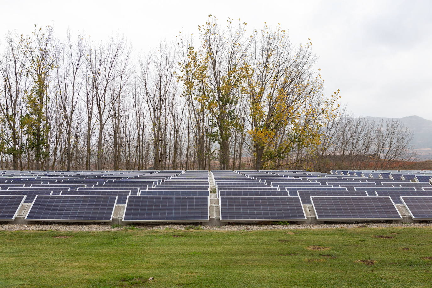 UAGR ve«lamentable» que Dorado respalde la eliminación de 600 hectáreas fértiles para crear parques solares