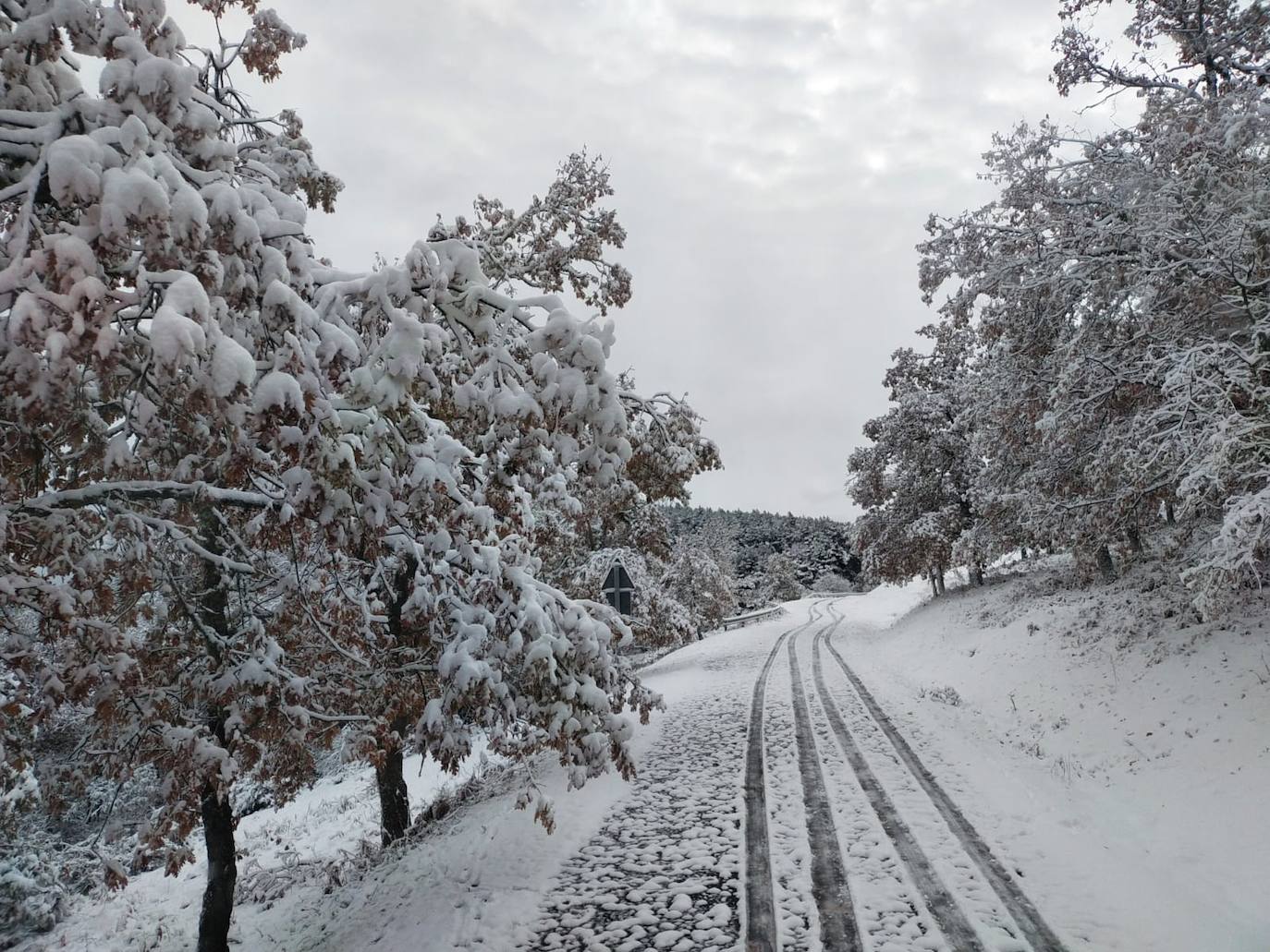 La nieve llega a La Rioja