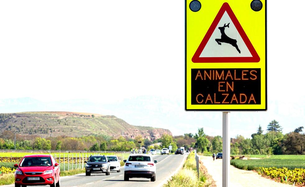 Los animales sueltos provocan en La Rioja cuatro de cada diez accidentes de tráfico