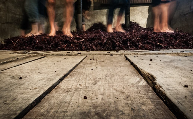 Una foto tomada en una bodega de San Asensio, ganadora por La Rioja de la convocatoria 'España. Retrato de un país'