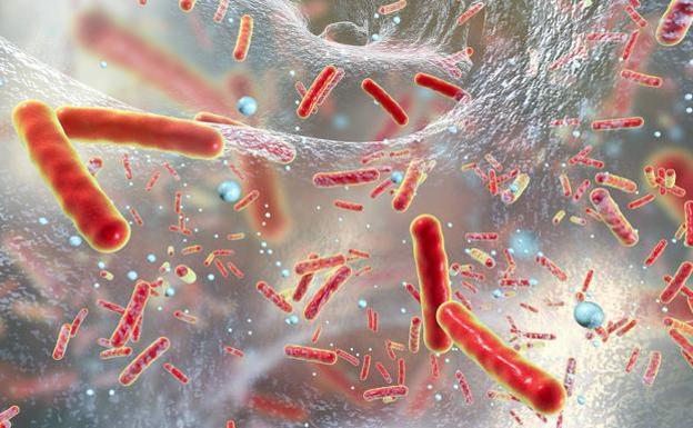 Europa, ante un notable aumento de casos de difteria resistente a antibióticos