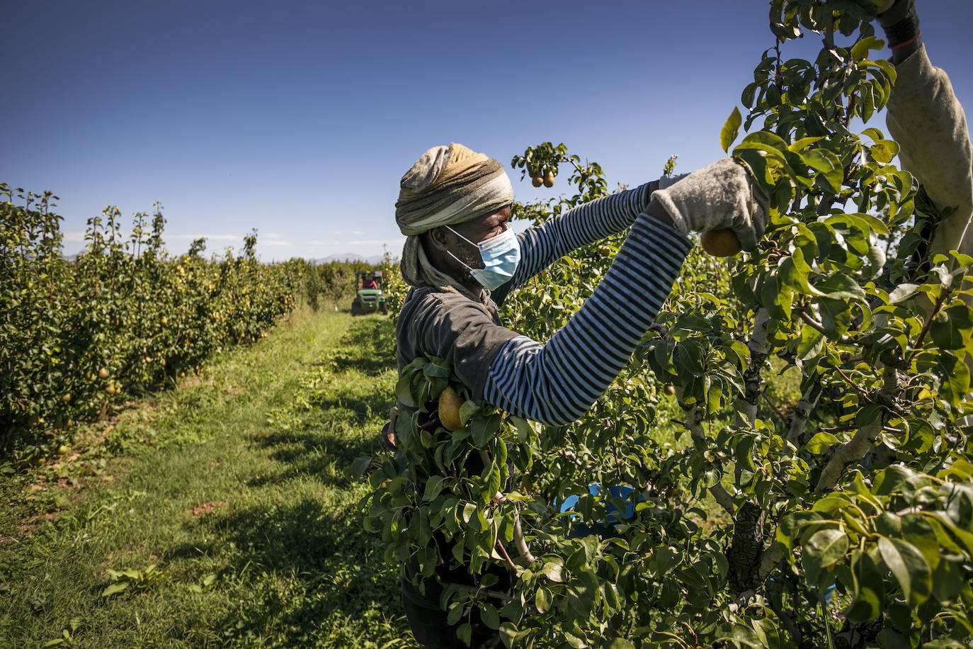 El reto verde de La Rioja: octuplicar los cultivos ecológicos en ocho años