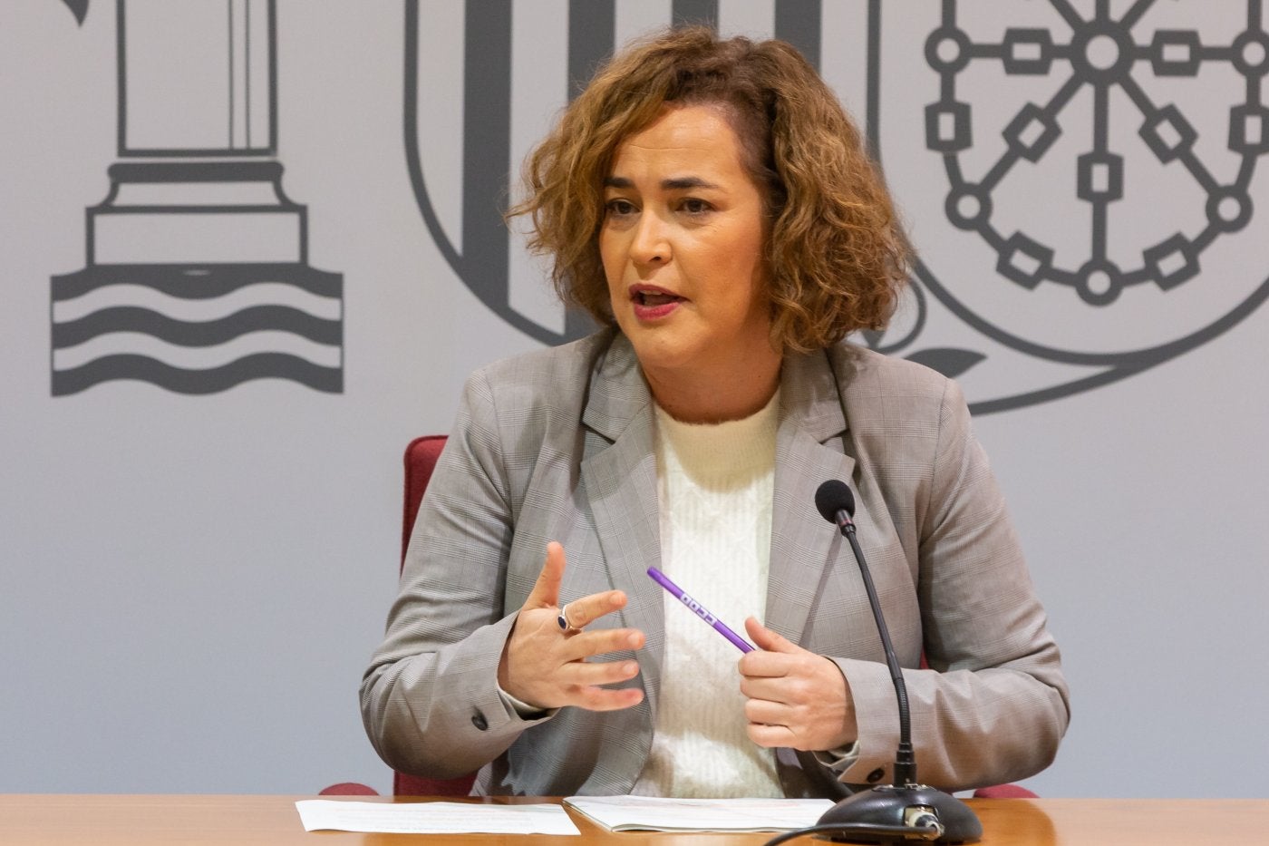 Arraiz asegura que «no hay preocupación» por el repunte de los delitos