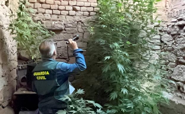 Detenidos dos hombres y desmantelado un laboratorio y punto de venta de droga en Alesanco