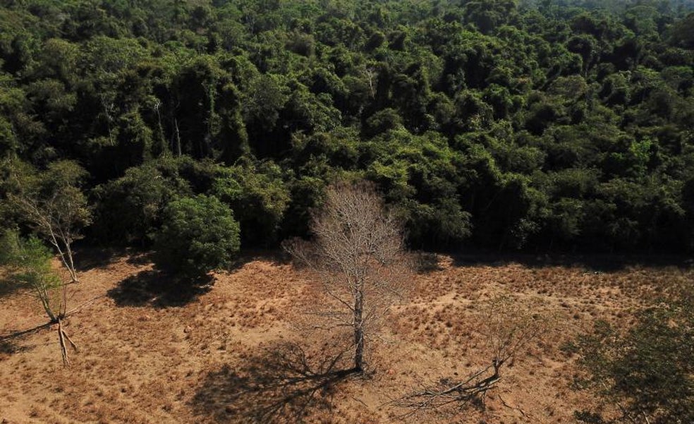 2022: un año de emergencia climática real