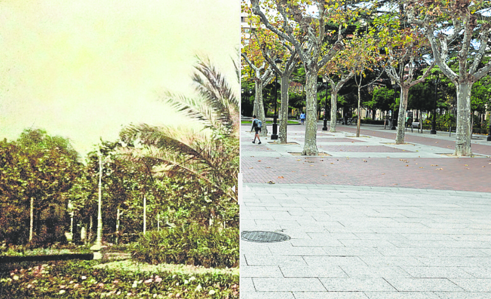 Un Espolón tropical