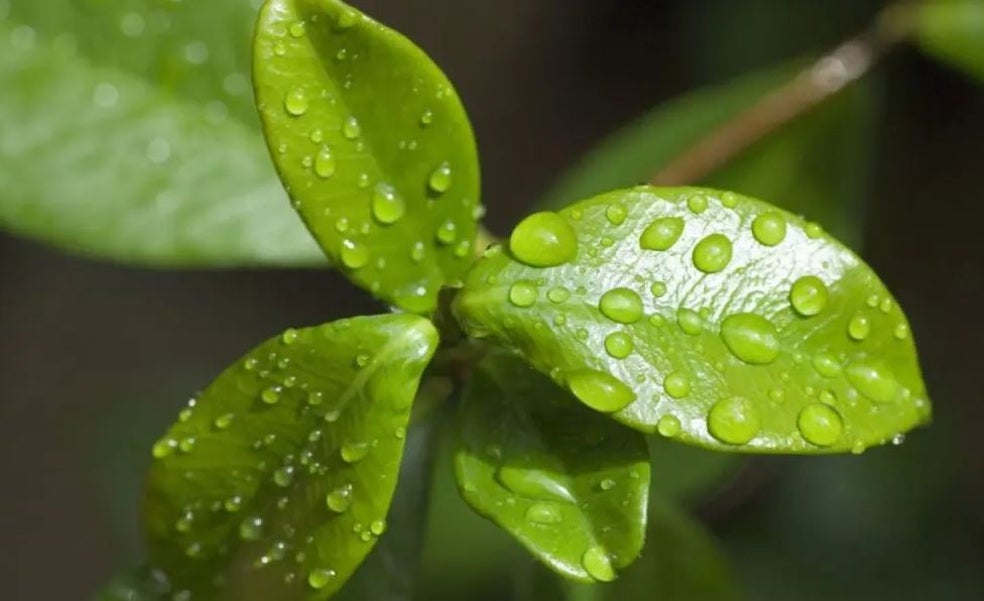 Crean una tecnología solar que captura agua del aire para generar hidrógeno