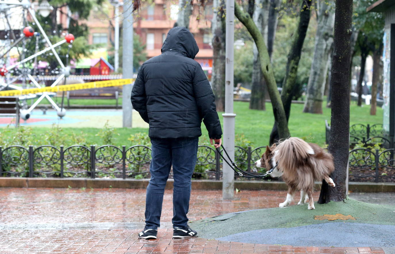 Unanimidad para aprobar la ordenanza de tenencia de animales